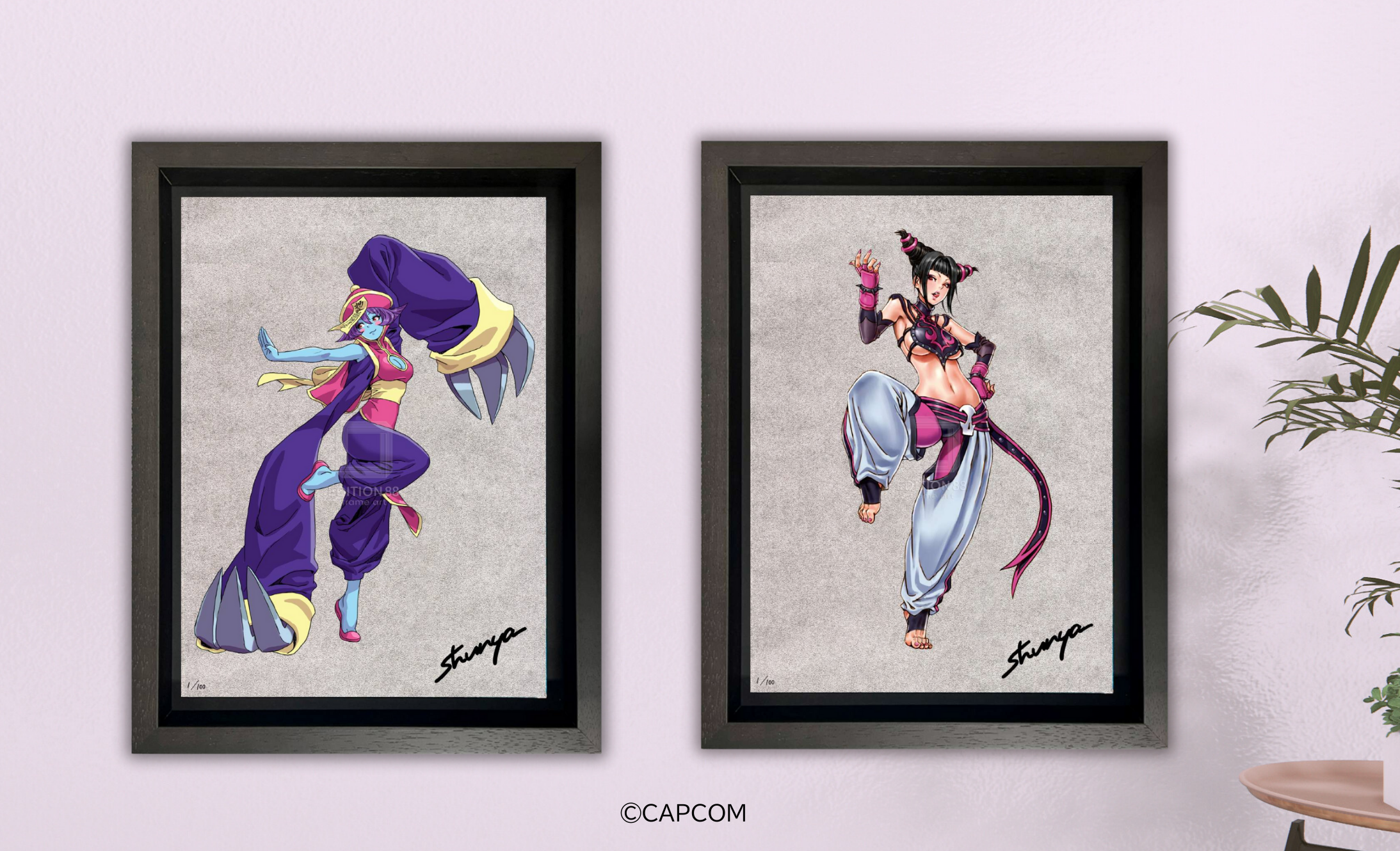 New BISHOUJO Series Items Revealed: STREET FIGHTER and Darkstalker