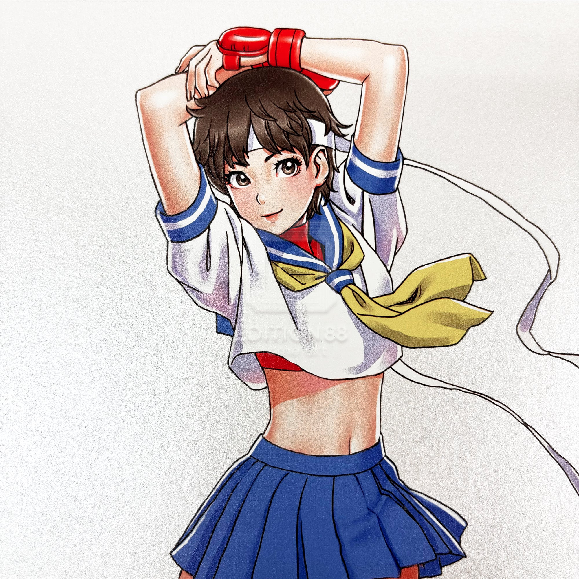 街頭霸王 BISHOUJO Sakura 和 Kariini,88Graph / Shunya Yamashita