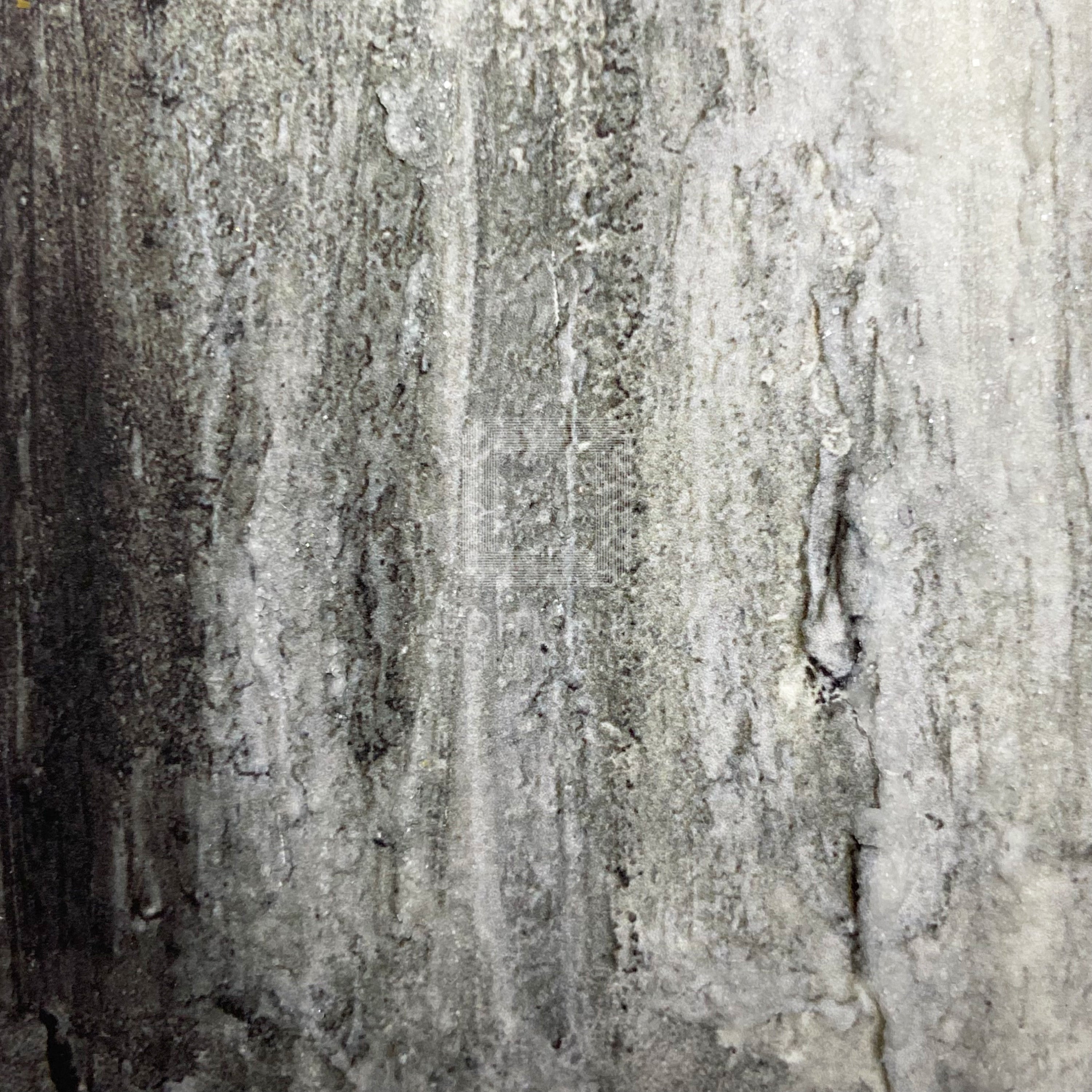 Tales of Destiny, Tales of Destiny2, 88Graph (Platinum) / Mutsumi Inomata