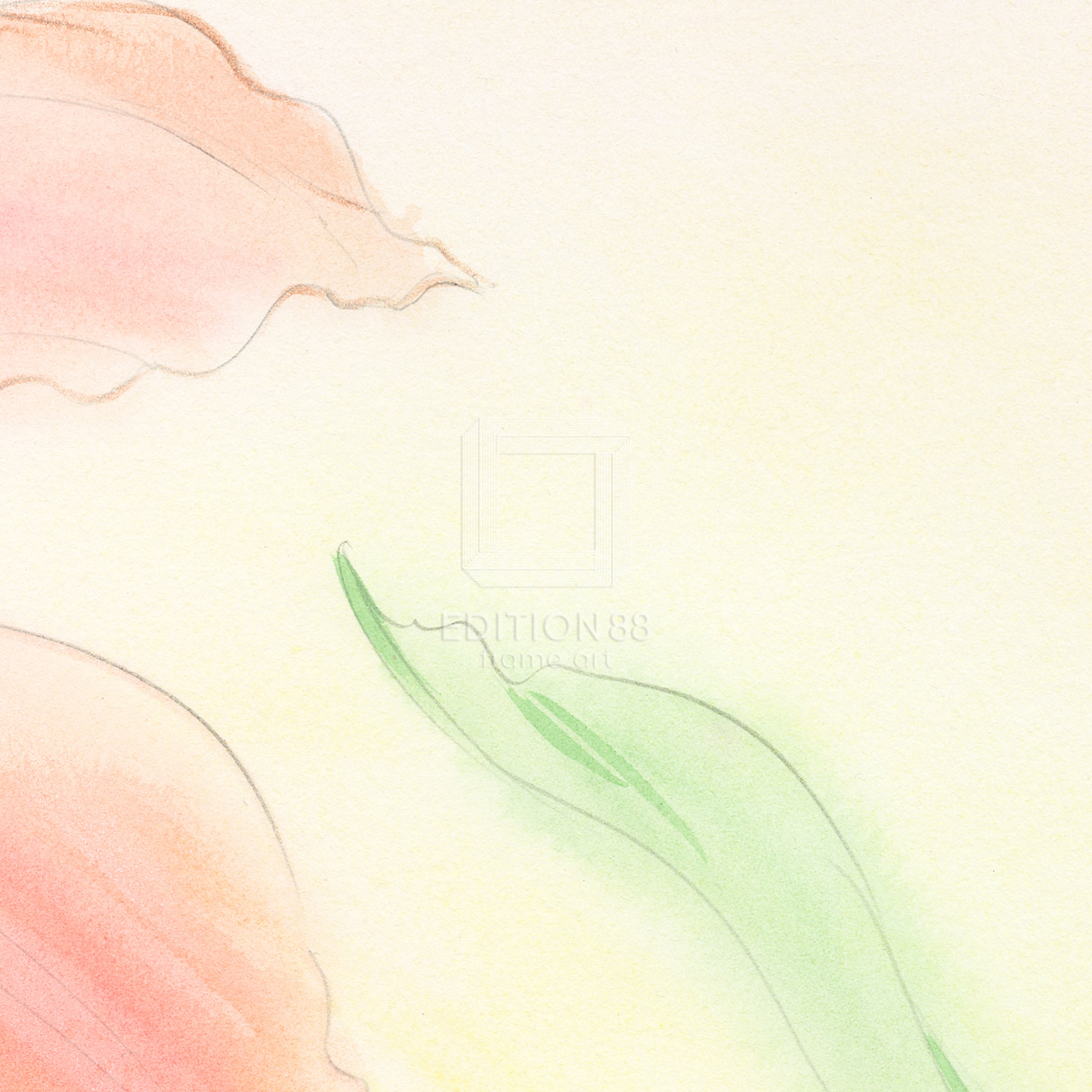 Magical Angel Creamy Mami, 88Graph ‘fermata’ / Akemi Takada