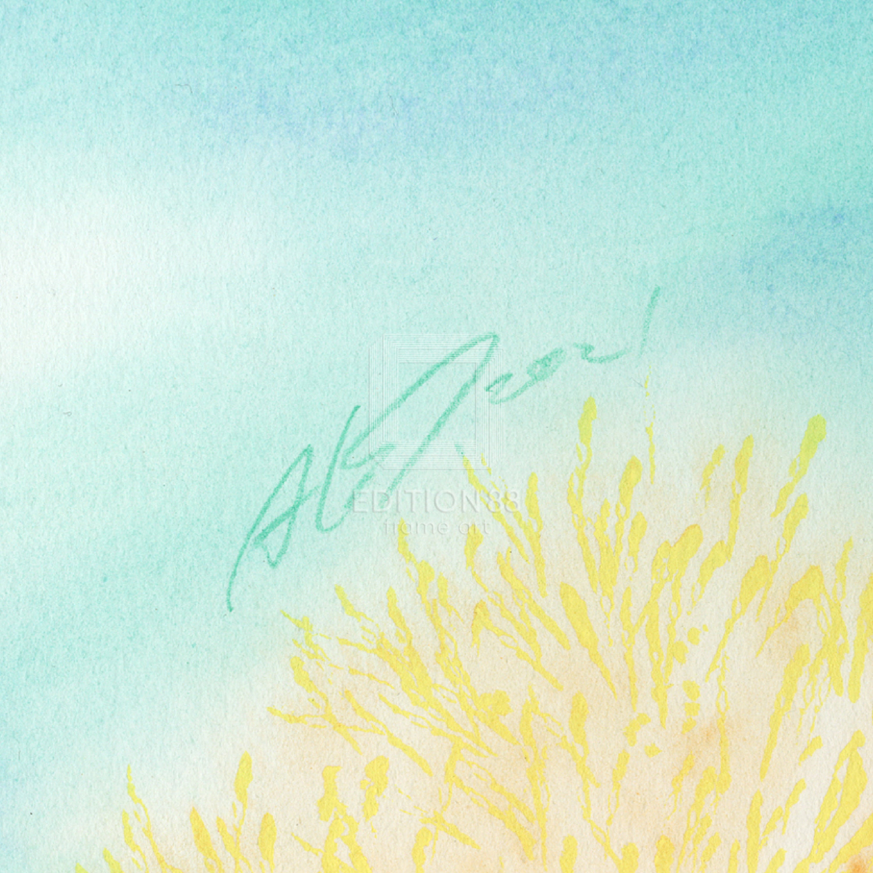 魔法天使奶油麻美,88Graph「Angelic Moment VII -Splash-」/ Akemi Takada