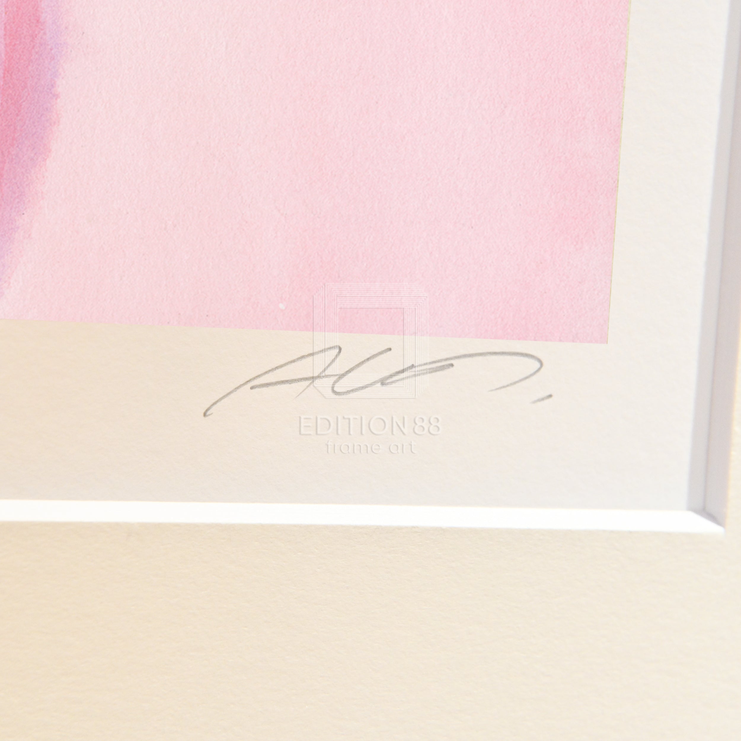 魔法天使 Creamy Mami,88Graph 'Wish of a Rose' / Akemi Takada